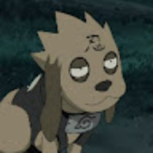 Meet your Posher, Beilan